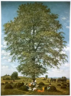Art / Regional / German Art