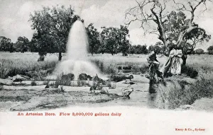 Bore Gallery: An Artesian Bore - New South Wales, Australia