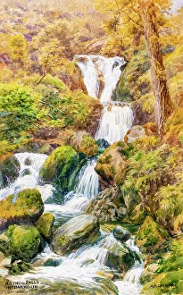 Cascade Prints: Arthog Falls, near Barmouth, Gwynedd, North Wales