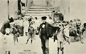 Mules Prints: Artichoke and Water Sellers - Streets of Gibraltar