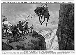 Artillery mule on Italian frontier
