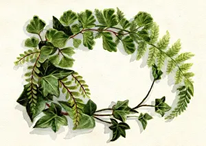 Artwork by Florence Auerbach, spray of green leaves