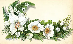 Auerbach Collection: Artwork by Florence Auerbach, white flowers