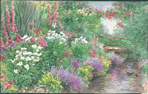 Arums by the Stream Garden Flowers Watercolour