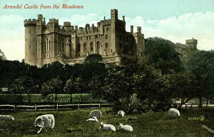 Crenellated Collection: Arundel Castle viewed from the Meadows, Sussex