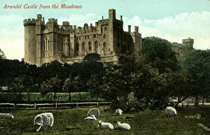 Crenellated Prints: Arundel Castle viewed from the Meadows, Sussex