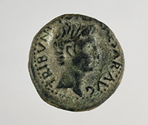 Mint Collection: As. Roman coin. Bronze. Showing Augustus on the obserse. 1st