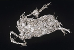 Aerinite Gallery: Asbestos purse