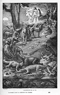 Crowning Prints: Ascension of Life