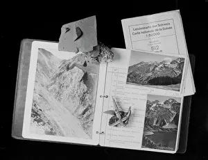 Ashcroft Collection of Swiss minerals