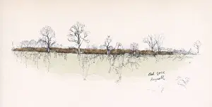 Gorse Prints: Ashe Gorse, Meynell Hunt area, Staffordshire