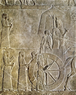 Images Dated 24th February 2010: Ashurbanipal on his chariot