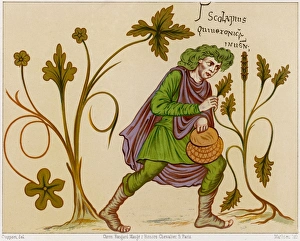 Aesculapius Gallery: Asklepios Finds Betony