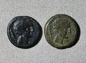 Coinage Prints: Assarius. Adverse. Ibero-roman. Bronze. Head. Mint of Iltirc