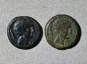 Adverse Gallery: Assarius. Adverse. Ibero-roman. Bronze. Head. Mint of Iltirc