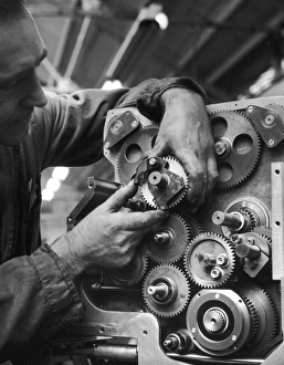 Precision Gallery: Assembly of a Multi-cogged Machine