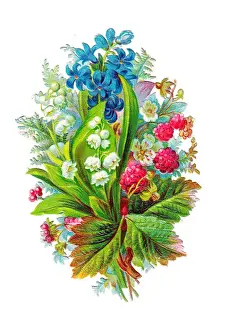 Raspberries Prints: Assorted flowers and fruit on a Victorian scrap