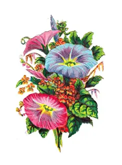 Assorted flowers on a Victorian scrap