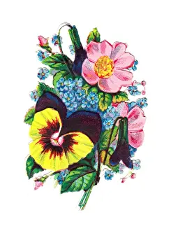 Assorted flowers on a Victorian scrap