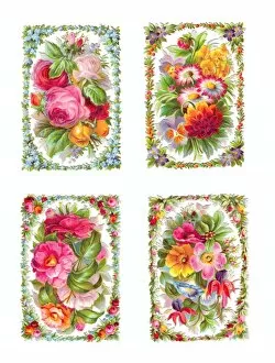 Fuchsia Collection: Assorted flowers on four Victorian scraps