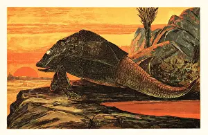 Asterolepis cornutus, extinct species of armour-plated fish
