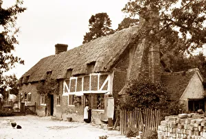 Aston Prints: Aston Clinton