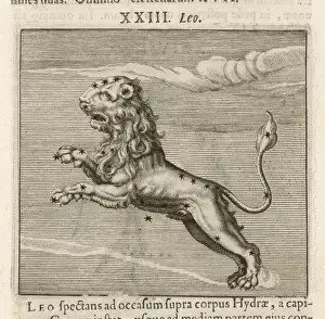 Astrology / Zodiac