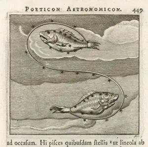 Astrology / Zodiac