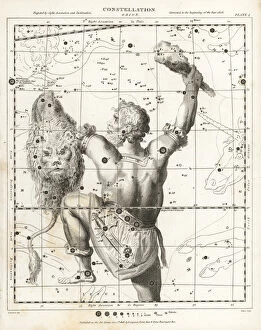 Abrahamrees Gallery: Astronomical chart of the constellation of Orion
