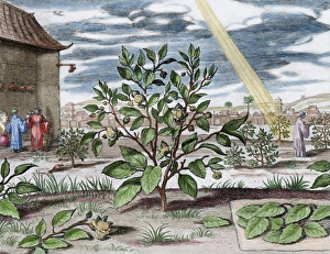 Athanasius Kircher (1601/1602A?i?1680). German Jesuit schol Athanasius Kircher (1601/1602A?i?1680). German Jesuit schol