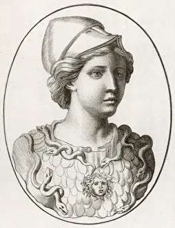 Athena / Minerva