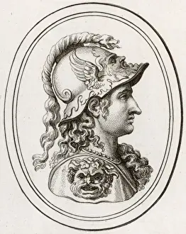 Athena / Minerva