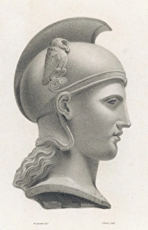 Form Collection: Athena / Minerva Bust