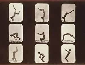 Flip Prints: Athletes. Flip flap
