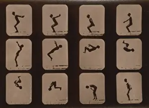 Athletes. Back summersault