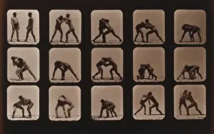 Athletes. Wrestling