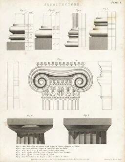 Abrahamrees Gallery: Attic, Doric and Ionic features from Greek architecture