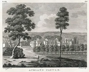 Bishop Collection: Auckland Castle