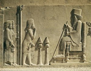 Masculine Collection: Audience of Darius I. Persian art