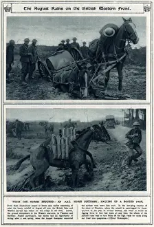 Downpour Prints: August 1917 rains on British Western Front