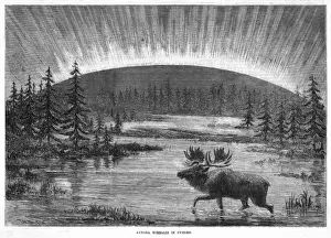 Borealis Prints: Aurora Borealis