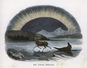 Aurora (Whimper) C1860