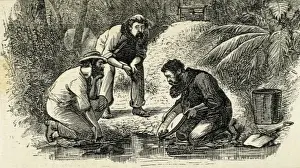 Diggers Prints: Australia (1880). The life of the gold diggers