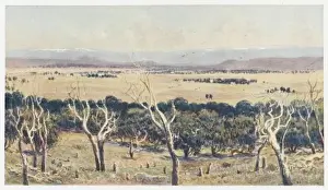 Australia / Canberra
