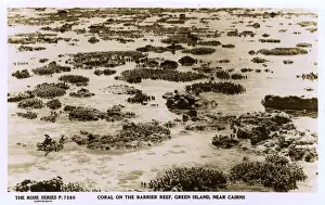 Cairns Prints: Australia - Coral on the Great Barrier Reef near Cairns