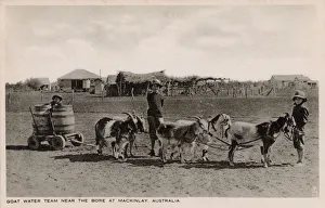 Bore Gallery: Australia - Goat Water Team near the Bore at Mckinlay