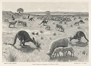 AUSTRALIA / SCENERY