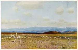 Australia / Scenery