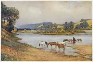 Australia / Scenery