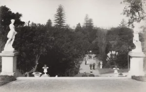 Australia - Sydney, Botanical Gardens